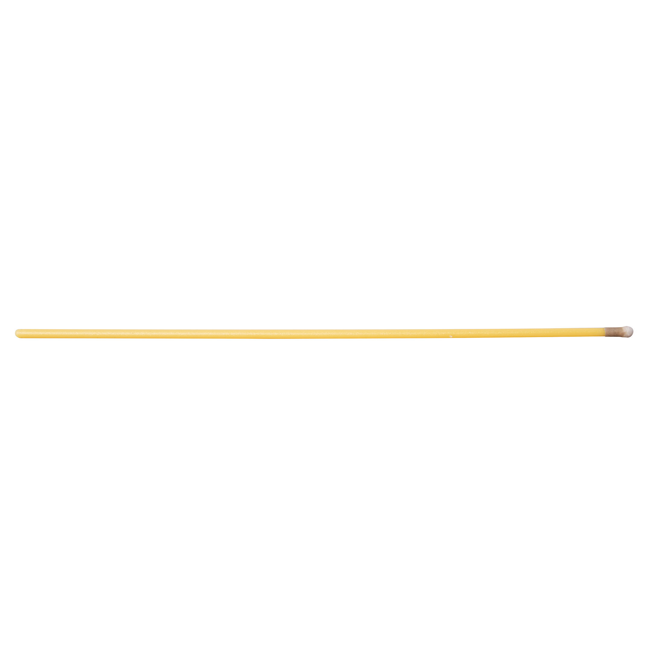 6" Silver Nitrate Applicators