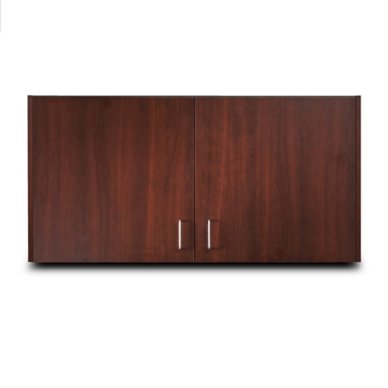 Wall Cabinet with 2 Doors
