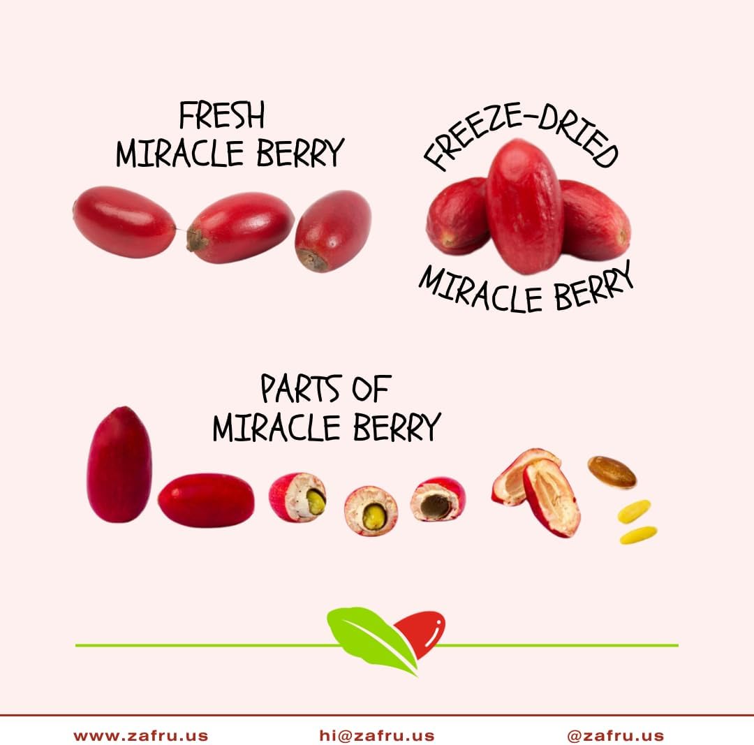 Miracle Berry - Miracle Fruit - Freeze-Dried Flavor-Changing Berry 24 Pack