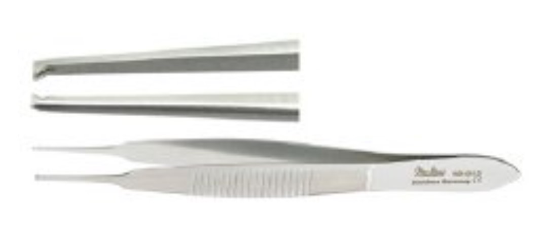 Lester Tissue Forceps, 3.75"
