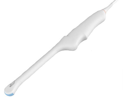 E8-4Q - Endocavity Array Transducer