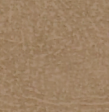 Desert Tan