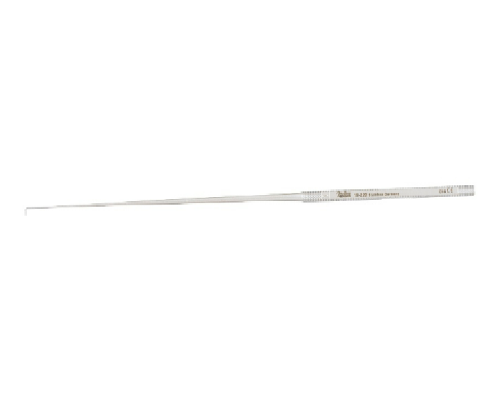 Day Ear Hook