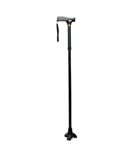 Stand Up Cane, Adult