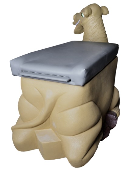 Pediatric Examination Table (CAMEL) 