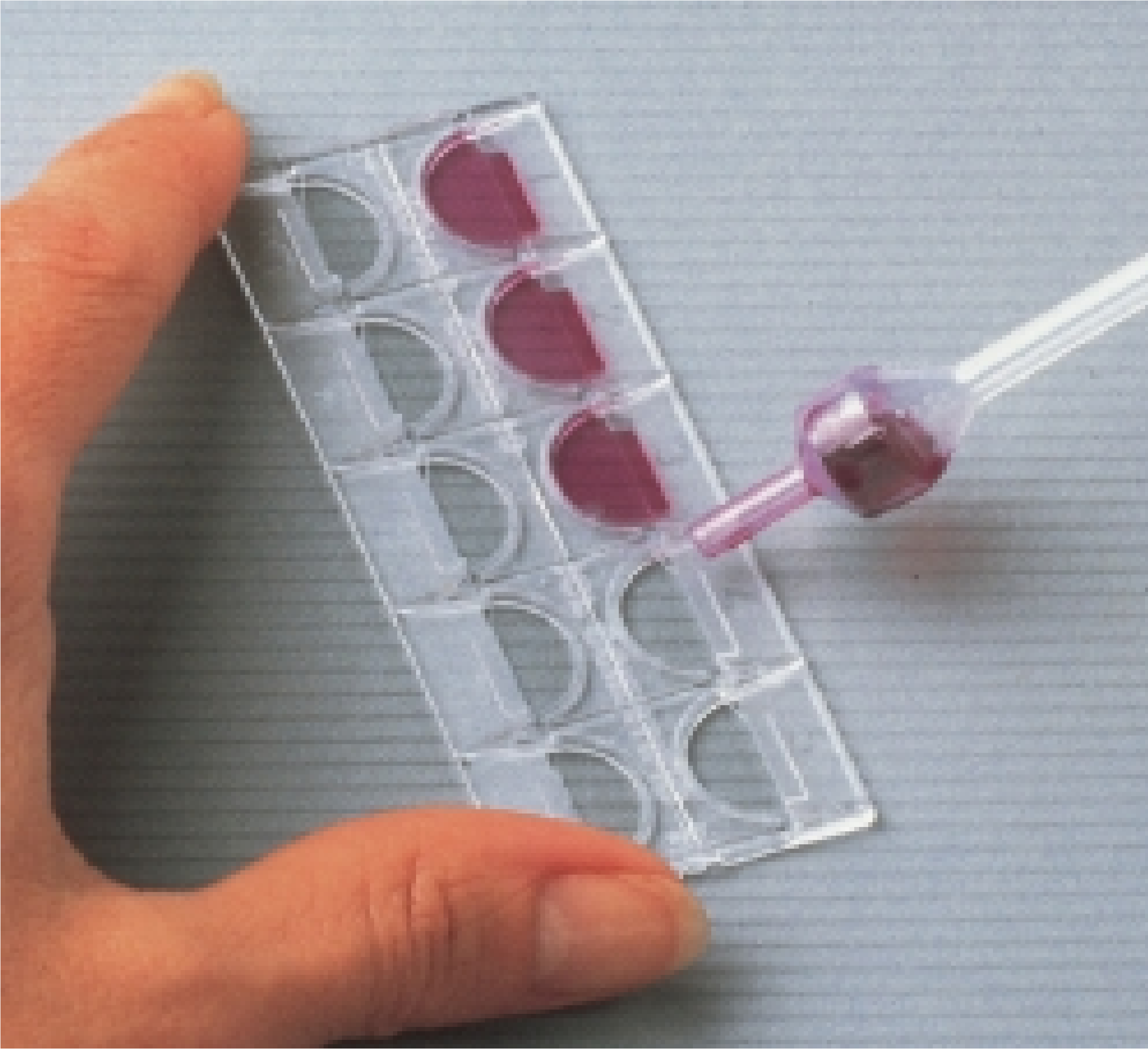 Kova Urinalysis Microscope Slide, 10 Chamber