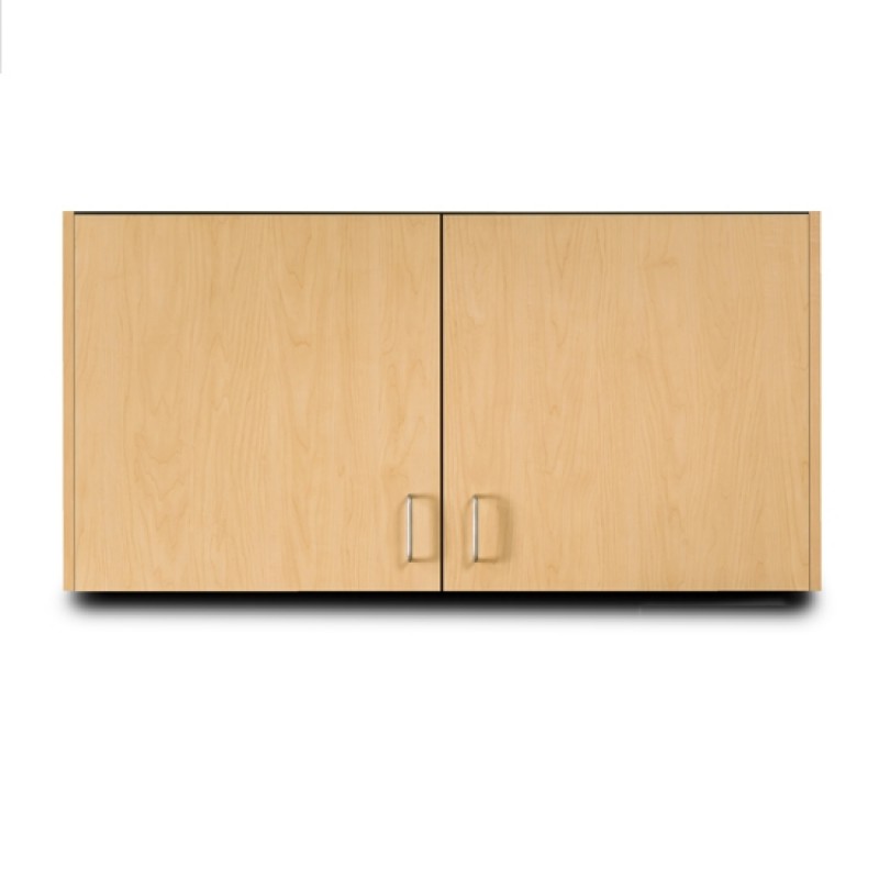 Wall Cabinet with 2 Doors