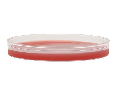 Selective Strep Agar Prepared Media Mono Plate Format