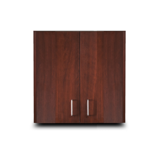Wall Cabinet with 2 Doors