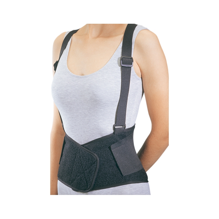 Procare Industrial Back Support