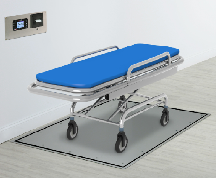Solace In Floor Dialysis Scales