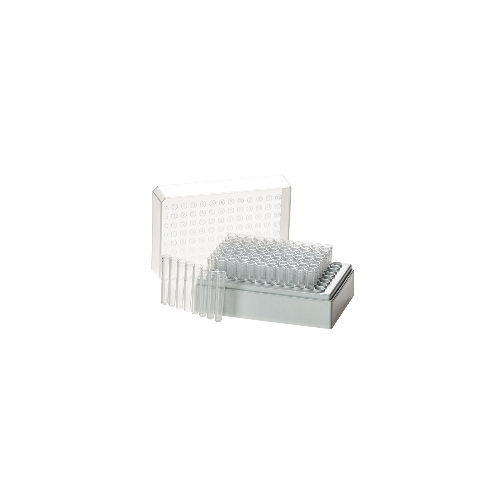 Rack with 12 Strips of 8 Tubes