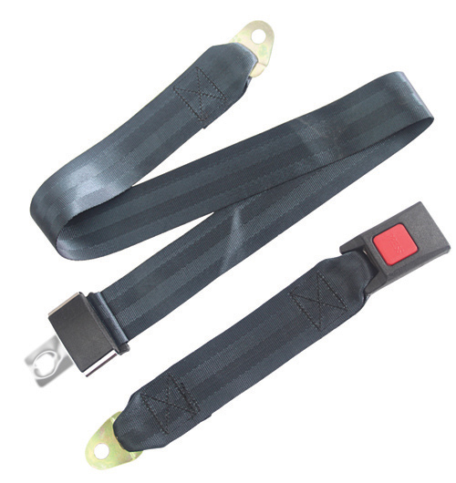 Buckle Up Wheelchair Seat Belt