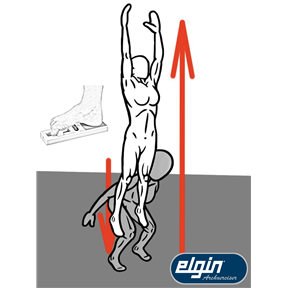 Pro Elgin Archxerciser