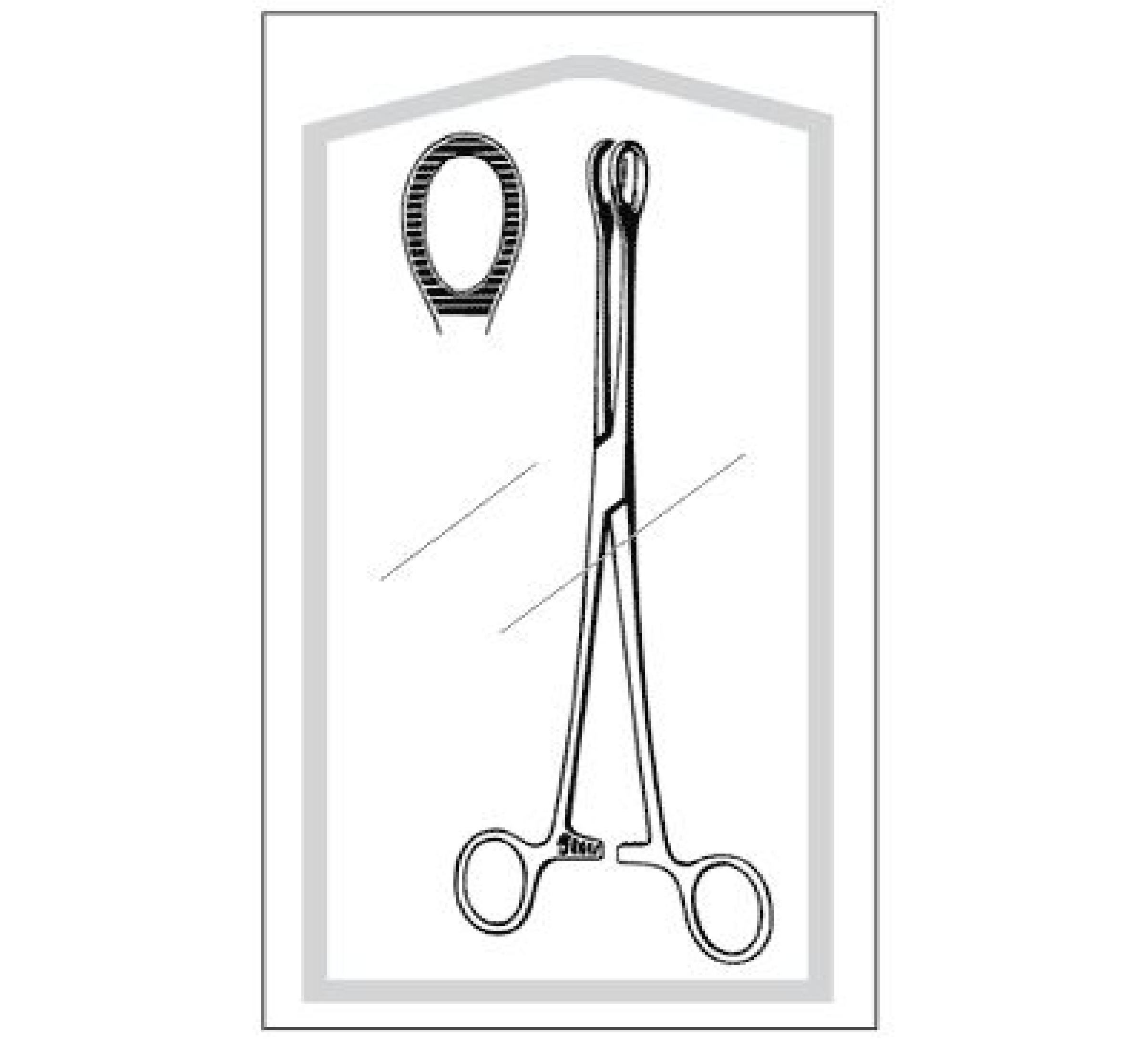 Econo Foerster Sponge Forceps, Straight, Serrated 9.5"