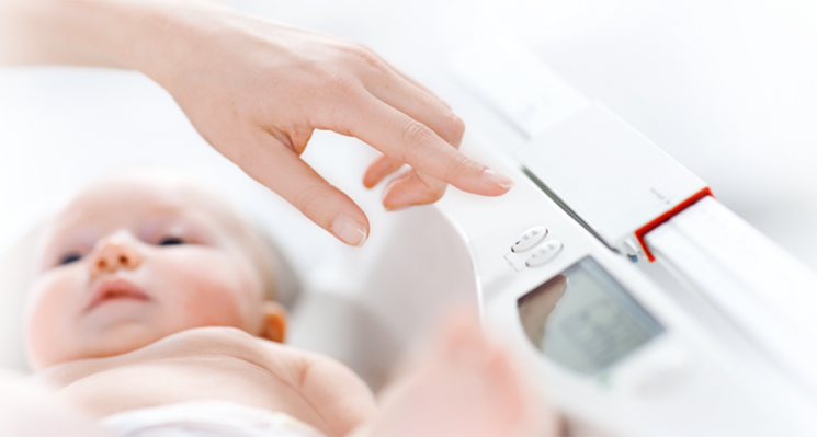 Measuring Rod for Baby Scale 374