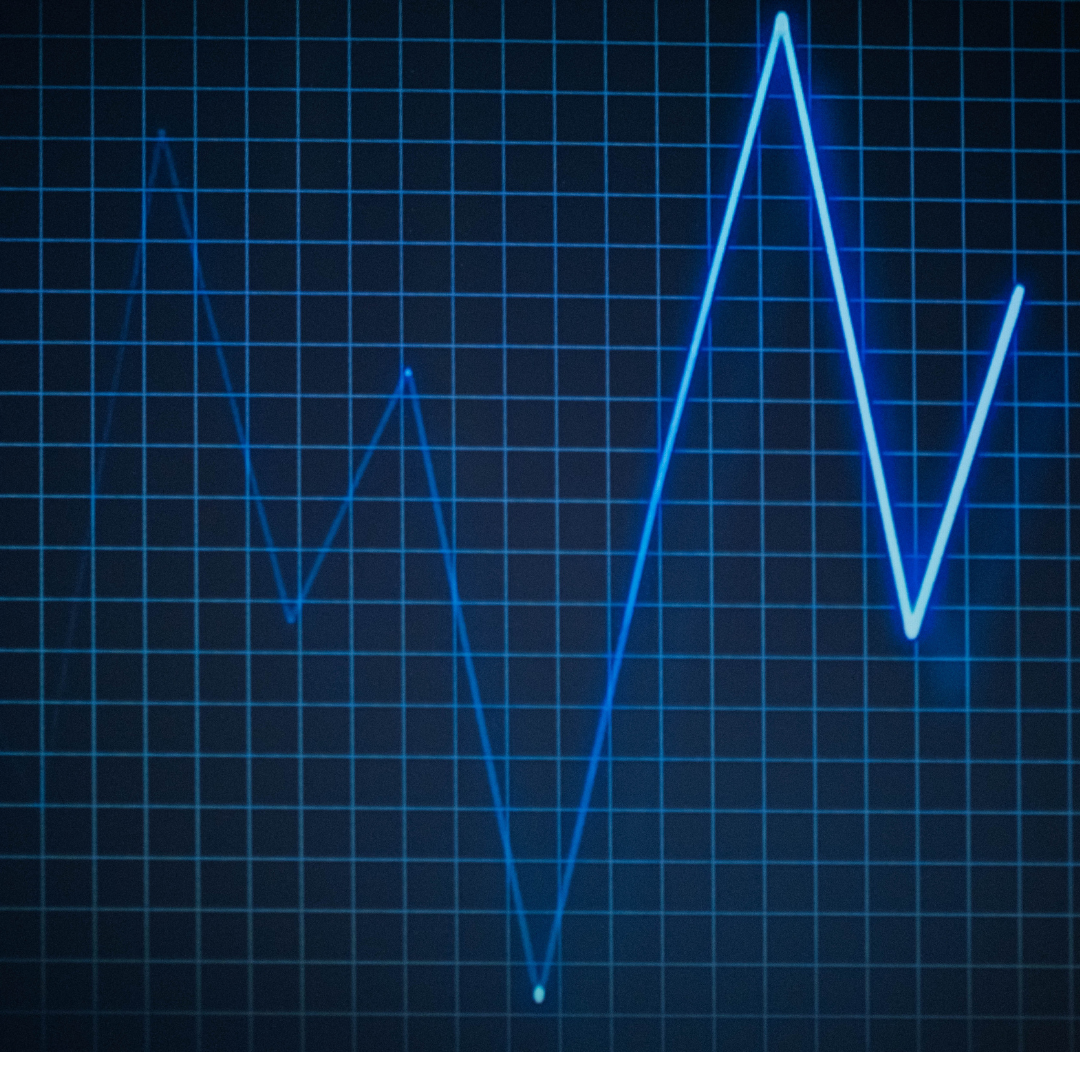 701010-00 Holter LX Analysis Software