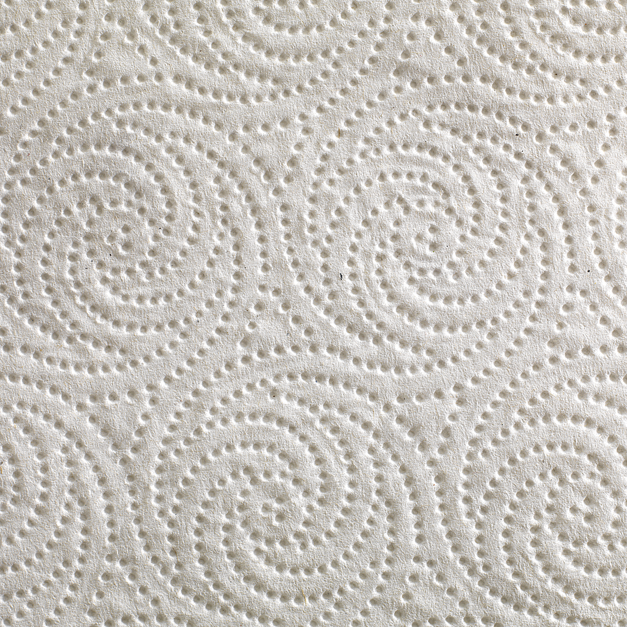Pacific Blue Select, 2 Ply Perforated Roll Towels, White