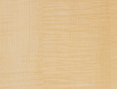Maple