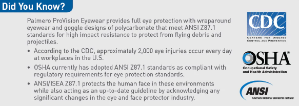 Palmero ProVision Econo Wraps Glasses 3601G