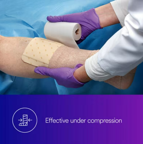 Tegardem High Performance Foam Dressing, Non Adhesive