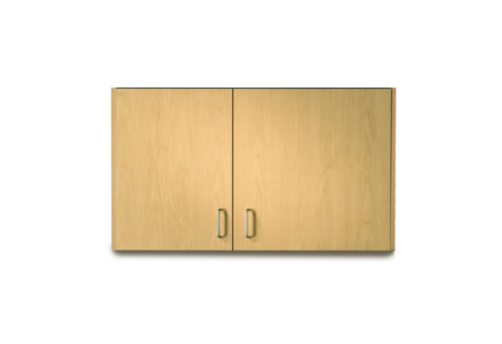 42" Wall Cabinet with 2 Doors