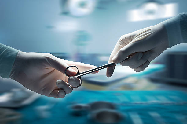 Sterile General Purpose Nurses’ Scissors – Economy