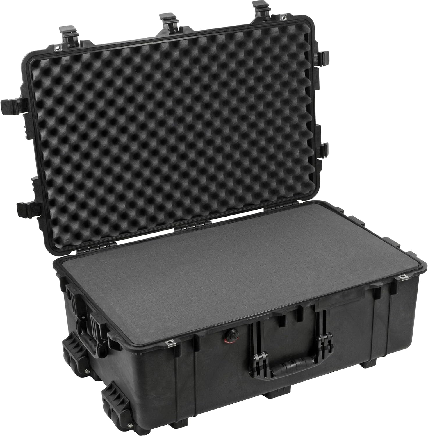 Protector Case with Foam (Black)