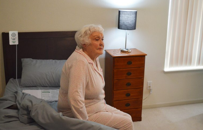 Smart Caregiver - Bed Or Chair Alarm Monitor TL-2100B LIBERTY Health Supply