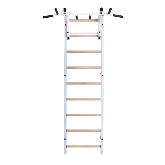 731 Wall Bars for Physical Therapy and Rehabilitation