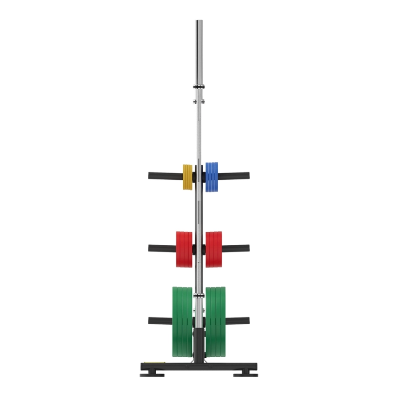 Training Plate Olympic Colors