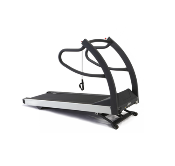 CardioStress Testing System