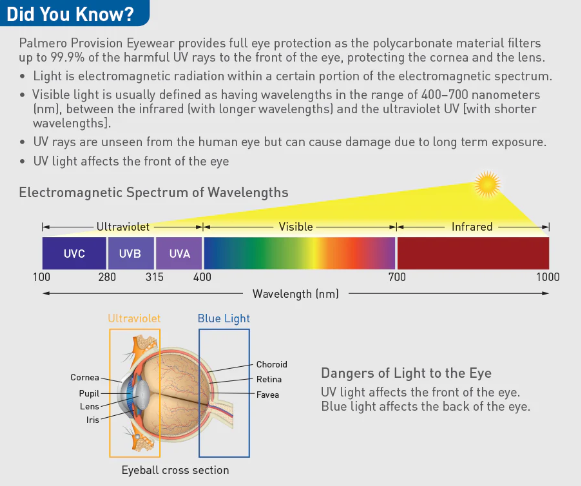 ProVision Clarity Glasses, Clear Frame / Clear Lens