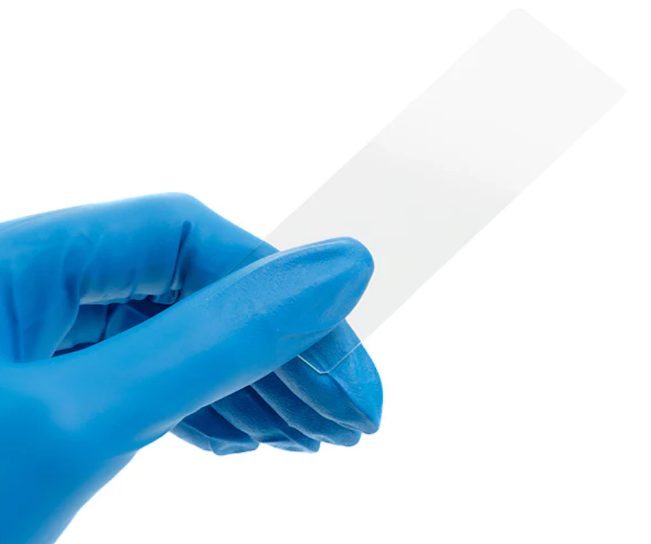 Microscope Slides, Ground Edge