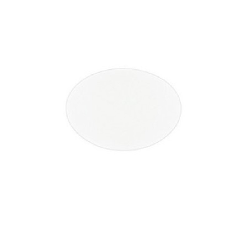 PCTE Hydrophilic Membrane Disks, 0.2 um