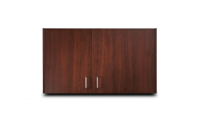 42" Wall Cabinet with 2 Doors
