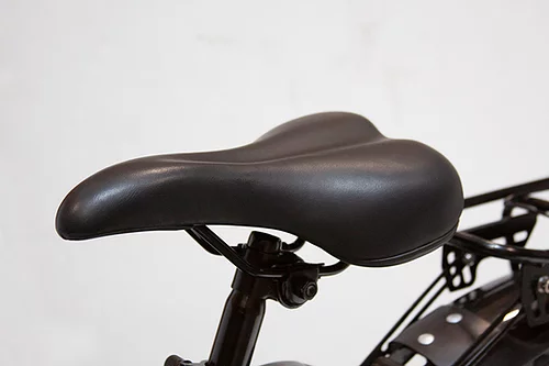 EW-28 Electric Bike