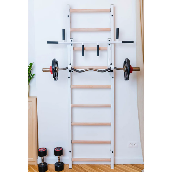 731 Wall Bars for Physical Therapy and Rehabilitation