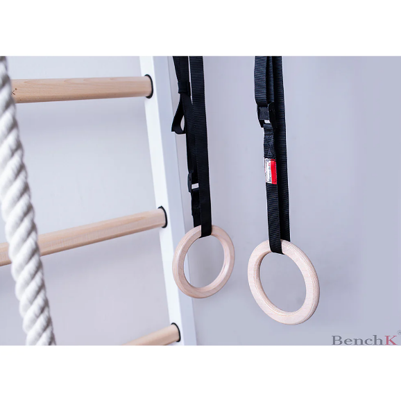 521+A204 Wall Bars with Permanently Fixed Pull Up Bar and Gymnastic Accessories