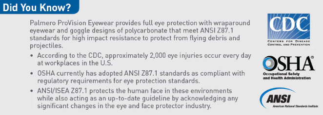 ProVision Infinity Wraparound Safety Glasses