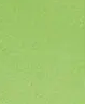 Parrot Green