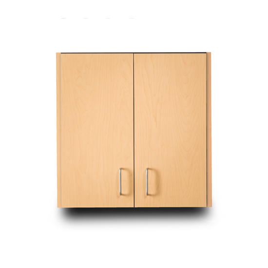Wall Cabinet with 2 Doors