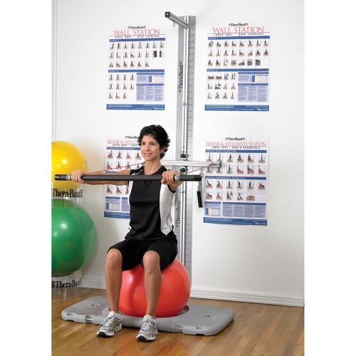 Professional Rehab and Wellness Station