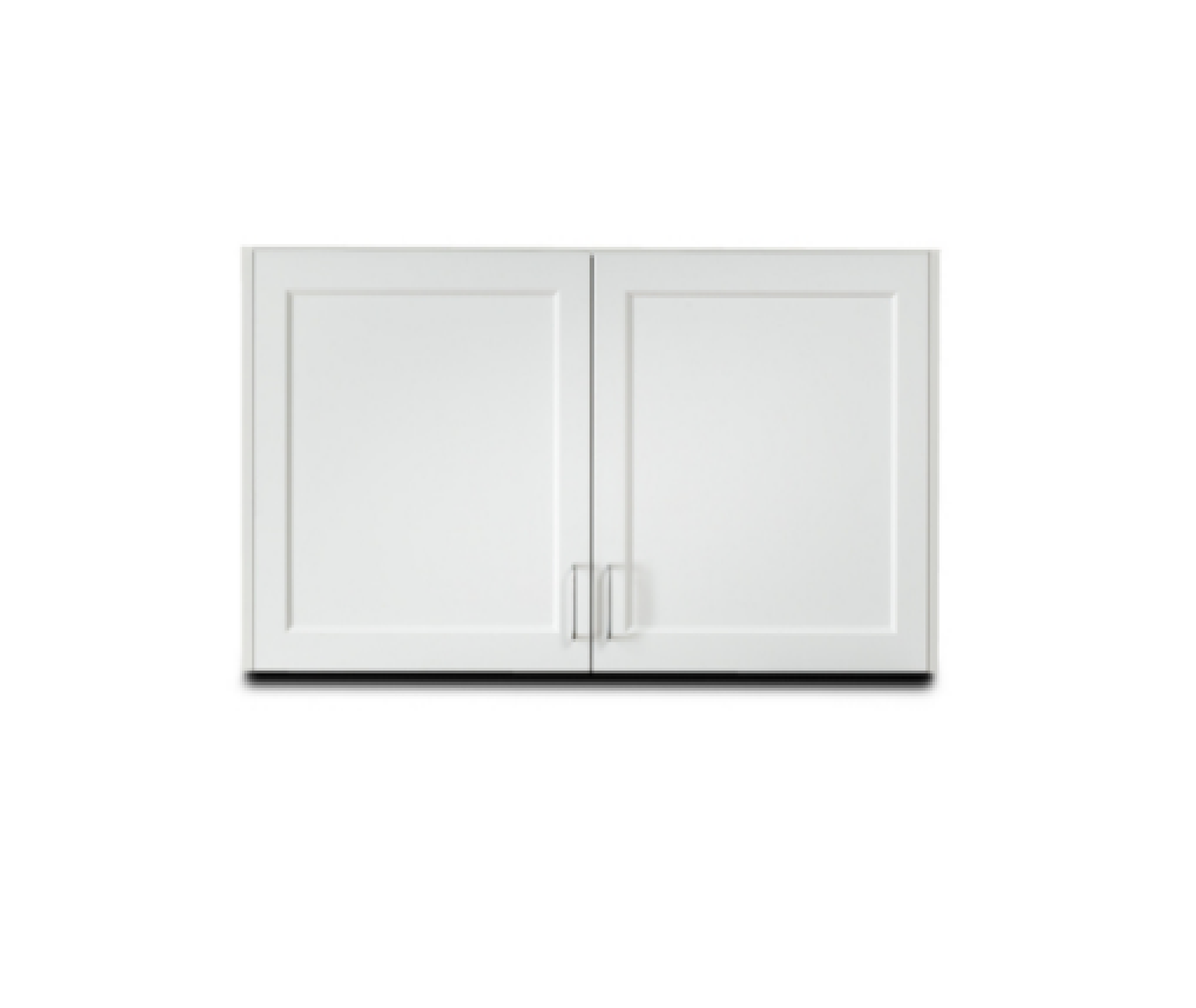 Fashion Finish 48" Wall Cabinet with 2 Doors