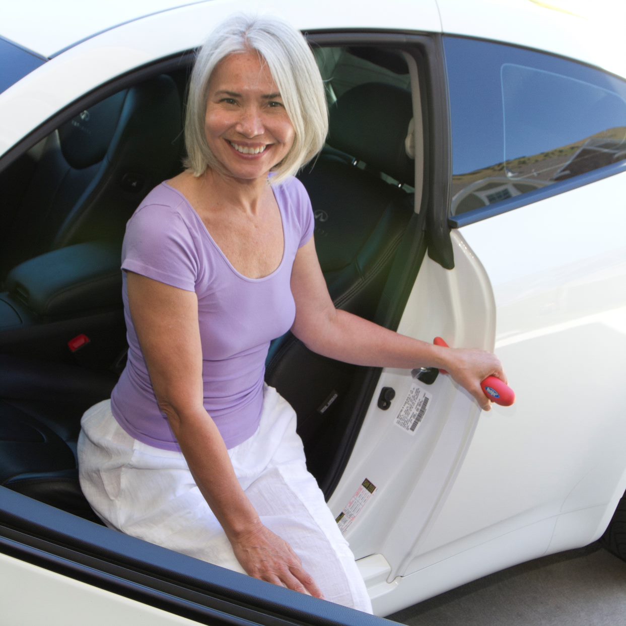 Handybar Mobility Handle Car Transfer Bar
