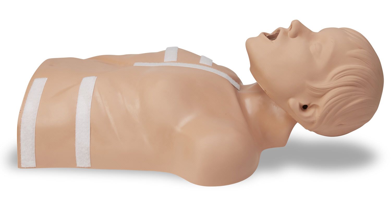 CPR D Demo Manikin