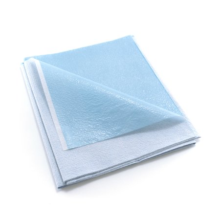 Stretcher Sheet Flat 40 W X 90 L Inch Blue Tissue / Poly Disposable