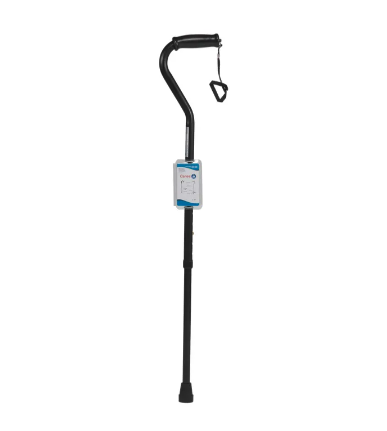 Offset Cane, Adult