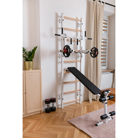 733 Luxury Wall Bars for Home Gym and Personal Studio