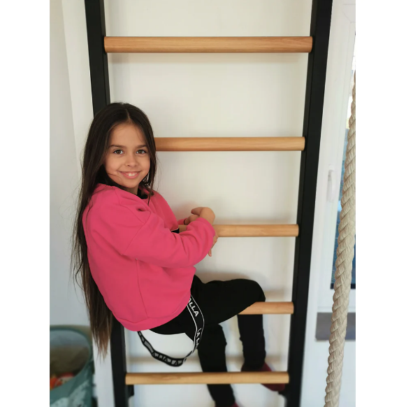 200 Gymnastic Wall Bar